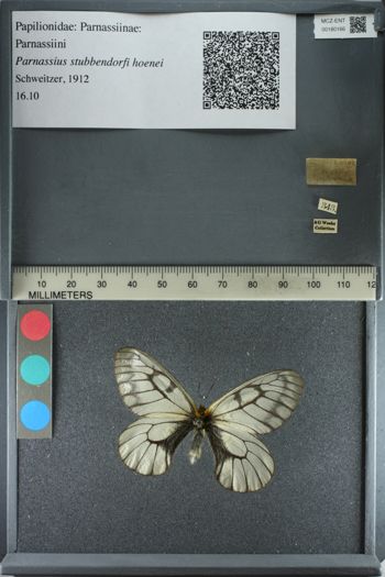 Media type: image;   Entomology 180166